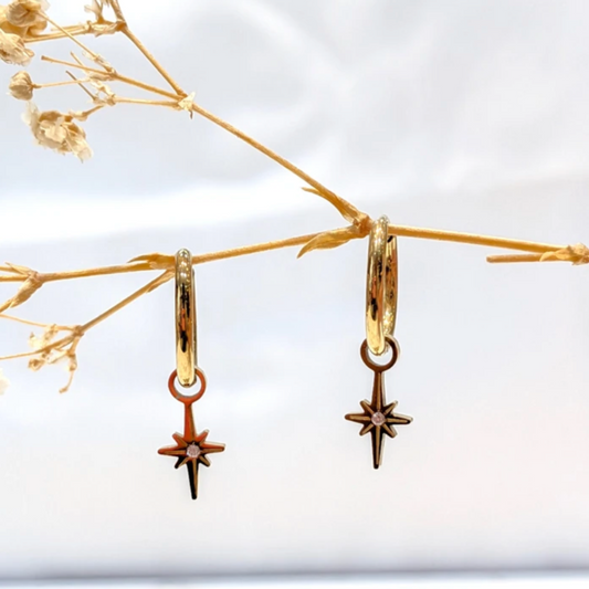 🤍Boucle d'oreille étoile strass